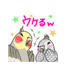 オカメの風太スタンプ2（個別スタンプ：11）
