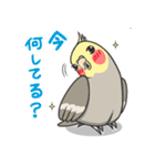 オカメの風太スタンプ2（個別スタンプ：14）
