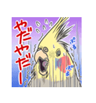 オカメの風太スタンプ2（個別スタンプ：15）