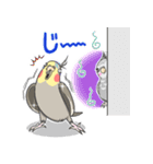 オカメの風太スタンプ2（個別スタンプ：16）