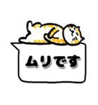 猫の日☆ゴロゴロしてるゆるねこ♡吹き出し（個別スタンプ：1）