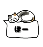 猫の日☆ゴロゴロしてるゆるねこ♡吹き出し（個別スタンプ：22）