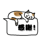 猫の日☆ゴロゴロしてるゆるねこ♡吹き出し（個別スタンプ：27）