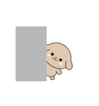 動く！文字なし犬スタンプ（個別スタンプ：13）