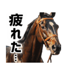 競走馬好きじゃなくても毎日使えて便利！（個別スタンプ：33）