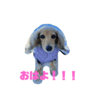 ぱぴぶんぺ（個別スタンプ：2）