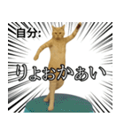 ⚫猫とミームで会話⭐40匹セット！！（個別スタンプ：8）