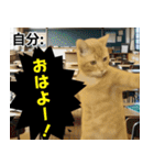 ⚫猫とミームで会話⭐40匹セット！！（個別スタンプ：10）