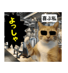 ⚫猫とミームで会話⭐40匹セット！！（個別スタンプ：17）