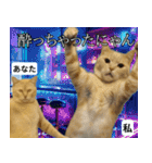 ⚫猫とミームで会話⭐40匹セット！！（個別スタンプ：22）