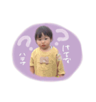 がぬのスタンプ（個別スタンプ：22）