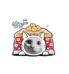 ねこ 動くスタンプ1（個別スタンプ：8）