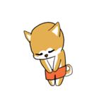 にやにや秋田犬（個別スタンプ：13）