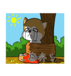 にやにや秋田犬（個別スタンプ：16）