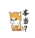 にやにや秋田犬（個別スタンプ：20）