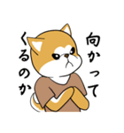 にやにや秋田犬（個別スタンプ：23）
