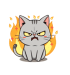 猫のラフィ（個別スタンプ：12）