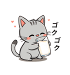 猫のラフィ（個別スタンプ：20）