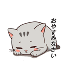 猫のラフィ（個別スタンプ：27）