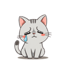 猫のラフィ（個別スタンプ：37）
