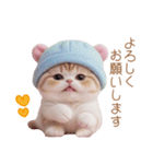 スコティッシュ猫 カラフルニット 敬語（個別スタンプ：13）