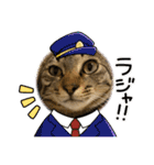 キジトラ猫のスタンプ②（個別スタンプ：3）