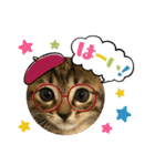 キジトラ猫のスタンプ②（個別スタンプ：4）