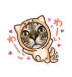 キジトラ猫のスタンプ②（個別スタンプ：8）