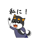 ねえねえ教えてくれる？って黒柴犬が聞く（個別スタンプ：5）