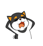 ねえねえ教えてくれる？って黒柴犬が聞く（個別スタンプ：8）