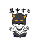 ねえねえ教えてくれる？って黒柴犬が聞く（個別スタンプ：9）