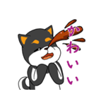 ねえねえ教えてくれる？って黒柴犬が聞く（個別スタンプ：12）