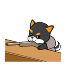 ねえねえ教えてくれる？って黒柴犬が聞く（個別スタンプ：21）