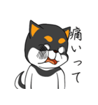 ねえねえ教えてくれる？って黒柴犬が聞く（個別スタンプ：23）