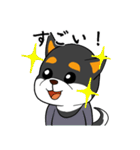 ねえねえ教えてくれる？って黒柴犬が聞く（個別スタンプ：24）