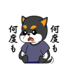 ねえねえ教えてくれる？って黒柴犬が聞く（個別スタンプ：26）