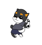 ねえねえ教えてくれる？って黒柴犬が聞く（個別スタンプ：33）
