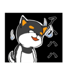 ねえねえ教えてくれる？って黒柴犬が聞く（個別スタンプ：34）