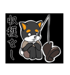 ねえねえ教えてくれる？って黒柴犬が聞く（個別スタンプ：36）