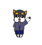 ねえねえ教えてくれる？って黒柴犬が聞く（個別スタンプ：37）