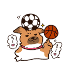 わんこ図鑑のなかまたち。（個別スタンプ：5）