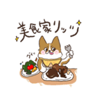 わんこ図鑑のなかまたち。（個別スタンプ：14）