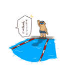 わんこ図鑑のなかまたち。（個別スタンプ：20）