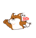 わんこ図鑑のなかまたち。（個別スタンプ：21）
