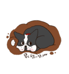 わんこ図鑑のなかまたち。（個別スタンプ：26）