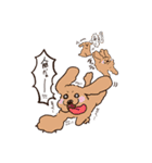 わんこ図鑑のなかまたち。（個別スタンプ：28）