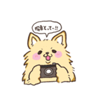 わんこ図鑑のなかまたち。（個別スタンプ：29）