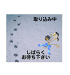 僕はハッシュ。ボーダーコリーだよ。（個別スタンプ：40）