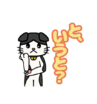 たれ耳猫のスタンプ（個別スタンプ：19）
