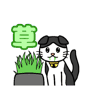 たれ耳猫のスタンプ（個別スタンプ：21）